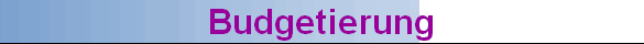 Budgetierung