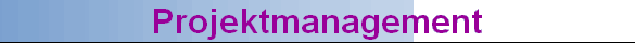 Projektmanagement